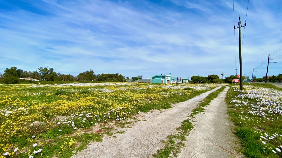 3 Bedroom Property for Sale in Dwarskersbos Western Cape
